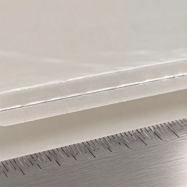 Biodegradable PLA Stand-up Pouch with Corn-Starch Based Compostable Film and Plant-Derived Soy Ink Printing