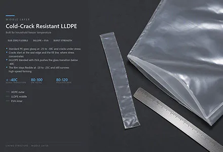 Middle Layer